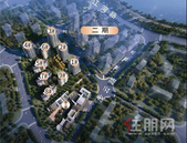 地产双巨头房企强强联手|打造江湾+公园+学校 滨江孤品奢宅！