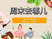 陶瓷彩绘、3D拼图酷炫来袭！这个**，不来这里可真是亏大啦…