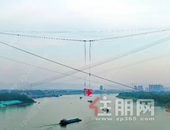 围观丨央视直播！平南三桥**工程进度播报！