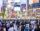 看遍南宁江湖，还有这样的神铺？  --龙光天龙八“铺”，深度详解（上） 