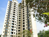 碧桂园·悦府10月家书：5#楼结构封顶