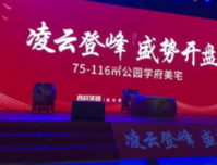 银十尾声：石岩新盘表现亮眼，去化超八成