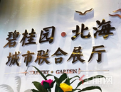 全城瞩目|碧桂园北海城市联合展厅璀璨绽放