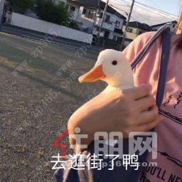 南宁二手房