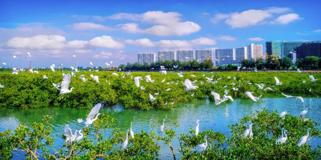（北海实景图）