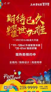 ***1天 | 玉林碧桂园 64幢应市加推