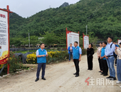 碧桂园4+X扶贫模式：效果明显，可持续、可推广