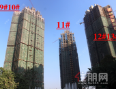 实拍！这个楼盘工程进度简直了，准现房高性价比赢热销