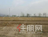 柳州瑞安路一闲置地成“水塘” 蝇蚊恶臭 居民苦不堪言