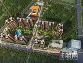 传奇红盘大族云峰一燃再燃，演绎深圳“人气实力派”!