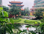 江南、玉东湖两大热盘出新品了，这户型、这房源、这地段真的不等人！