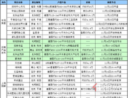 注意啦！上周深圳(11.18-11.24)十盘入市，其中深圳湾1号新品发布会将推出莱佛士公寓[云境]
