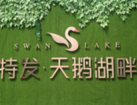 万众瞩目|平湖名校新盘“特发天鹅湖畔”预计月底开盘，首付最低86万起