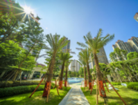 恒大御府22#楼大清尾 114㎡户型一口价秒杀