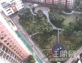 罗湖|一小区绿地改小学操场 业主称此前毫不知情，真相却是...