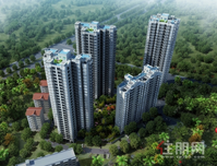 拟售均价11565.26元/㎡！纯新盘四季绿洲领出首张预售证