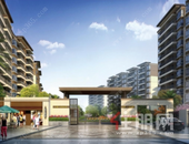 云星·钱隆御园|国潮购房节pick“双十二”购房新体验