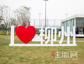 “与滨江西有约” 柳州万科城龙城媒体茶话会