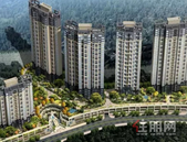 香港人大湾区购房放开后，真的会来深圳抢房子吗？想多了……