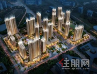 枢纽大城，不负时光！12月7日开盘即热销，红动深圳