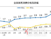 **统计局：11月全国居民消费价格居住类上涨0.4%