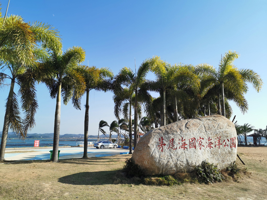 世界沙滩排球赛举办地——茅尾海黄金海岸浴场