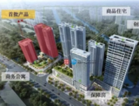 可怕！龙湖首座春江系-春江天玺问世，80多个魔鬼细节被曝光