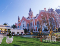 火爆！24h不打烊？顶 级文旅IP引爆昆明