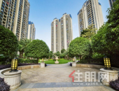 岁末归乡 幸福安家