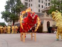 钦北区第四届“赛格·都邦国际杯”狮龙争霸赛圆满落幕！