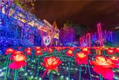 万人到访 灯光盛宴燃爆龙城 ——3月23日-4月22日梦幻灯光盛典精彩持续