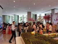 阳光城丽景湾精彩回顾|缤纷过五一，欢乐时光享不停