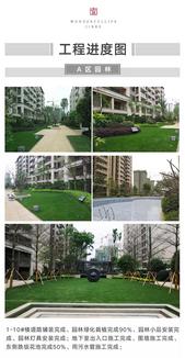 金科·天宸五月家书