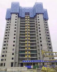 碧桂园城市花园 | 花信知春意 二月家书来！