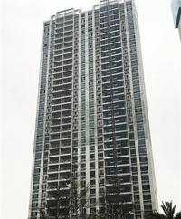 碧桂园ParkRoyal|2月家书，见证幸福的开始