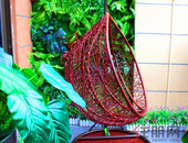 住宅市场迈入“绿色竞争” 被动房破题“品质人居”