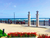 我市共接待游客138.9万人次