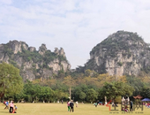 春天来了，我想和你一起在家门口看春意盎然！