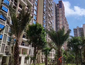 楼市泛凉意 市场渐理性 开发商春节加班加点