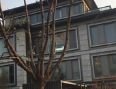 丈母娘加速城镇化：城里没房 媒人连家门都不愿意进