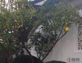 多地进一步放宽落户政策 建设保障性住房