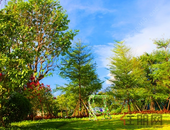 金宣置地、通合兴业等12家房产中介发布违规房源被查处