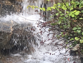 南京积分落户“房产每平米计1分”非救市新政 专家解读