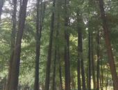 北京下调租金综合征收税率