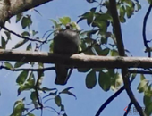 一线城市购房“休假模式”会向三线、四线蔓延吗？