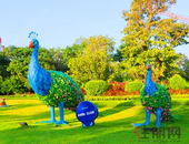 启动农村集体产权制度改革工作