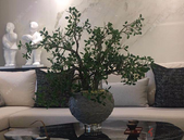 北京两宗限竞房地块出让 前两月土地出让金或超580亿元