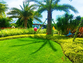 《粤港澳大湾区发展**纲要》正式发布（附全文）