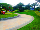 勇担职责使命 服务发展大局 不断开创新时代北海政法工作新局面