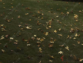 多地租房市场回暖 2019年租赁市场规模继续扩大